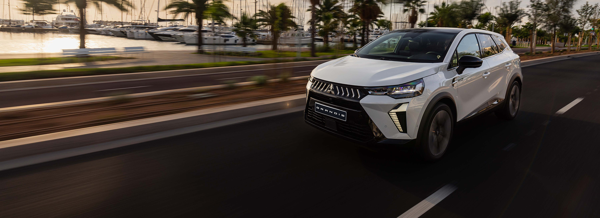 MITSUBISHI GRANDIS